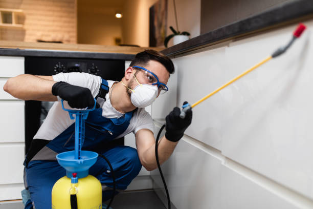Best Emergency Pest Control  in Rosebud, TX