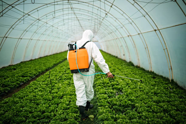 Best Local Pest Control Services  in Rosebud, TX