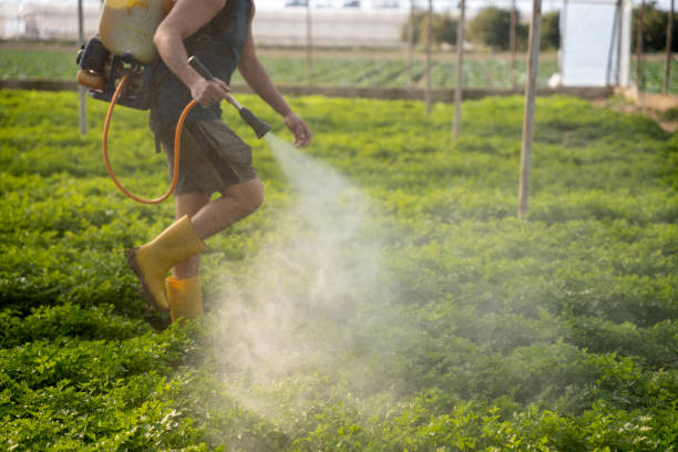 Best Best Pest Control Companies  in Rosebud, TX