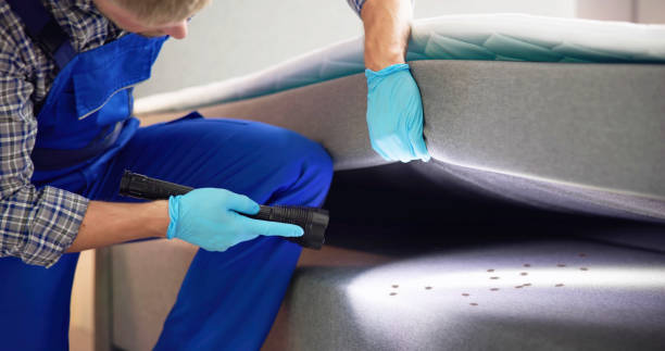 Best Affordable Pest Control Services  in Rosebud, TX