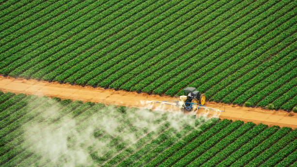 Best Pest Inspection Near Me  in Rosebud, TX