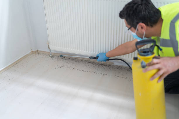 Best Pest Prevention Services  in Rosebud, TX