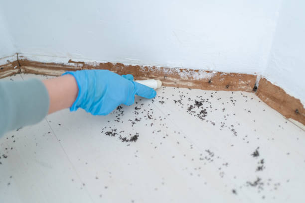 Reliable Rosebud, TX Pest Control Solutions