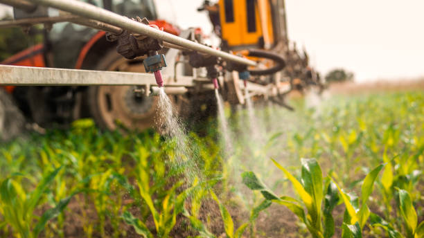 Best Insect Control  in Rosebud, TX