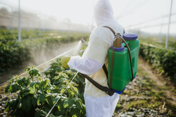  Rosebud, TX Pest Control Pros